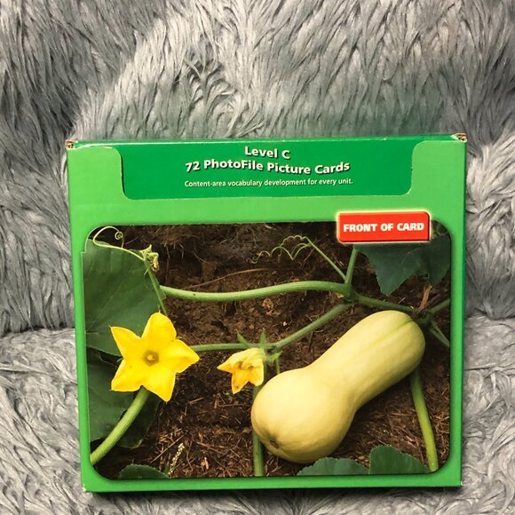 AVENUES C: PHOTOFILE PICTURE CARDS By Hampton-Brown - Picture 2 of 4